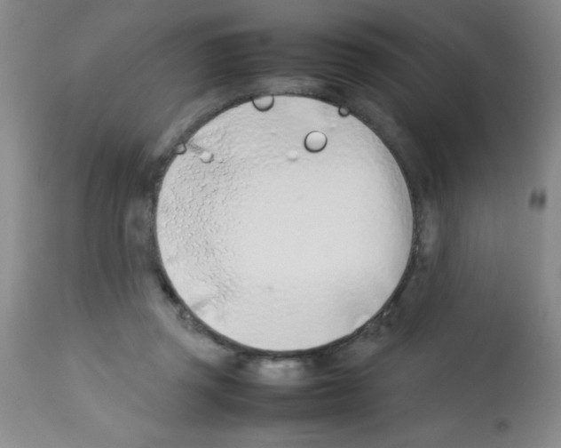 X0000113210357200910221108