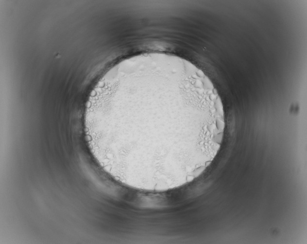 X0000113210359200910221108