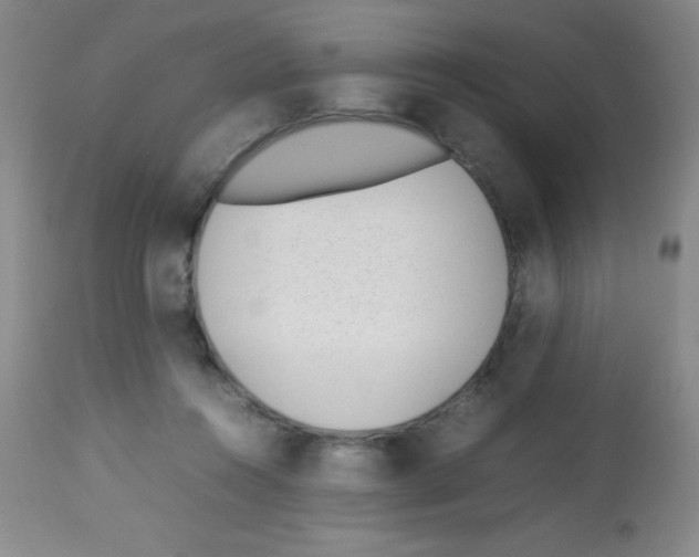 X0000113210360200910221108