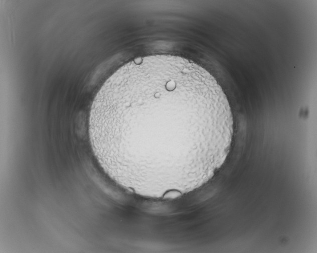 X0000113210361200910221108