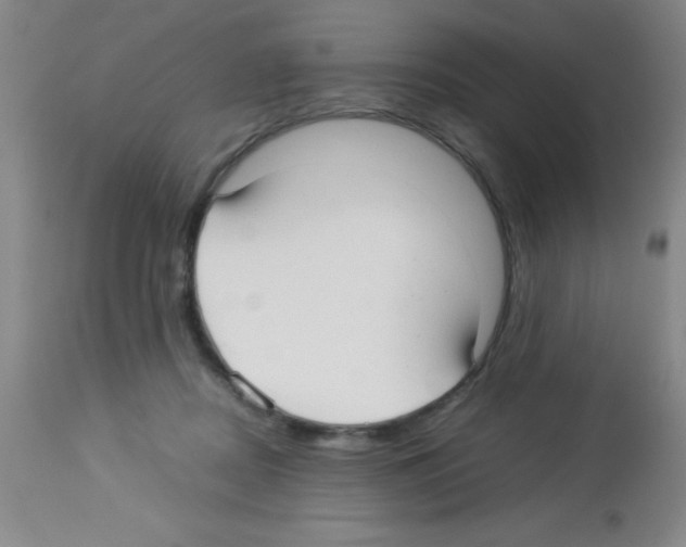 X0000113210362200910221108