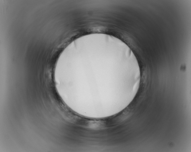 X0000113210363200910221108