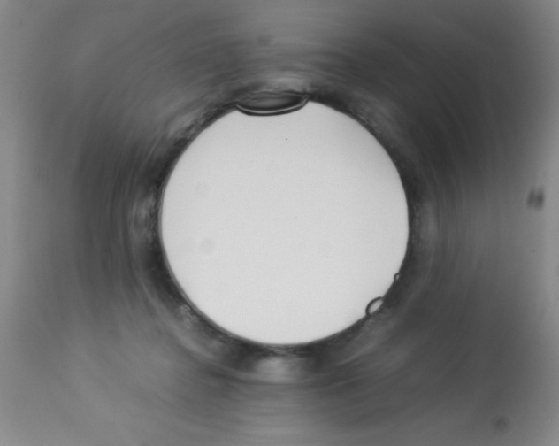 X0000113210364200910221108