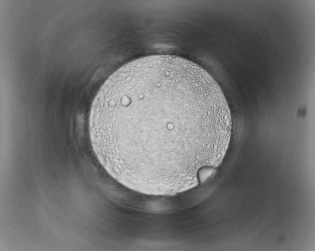 X0000113210365200910221108