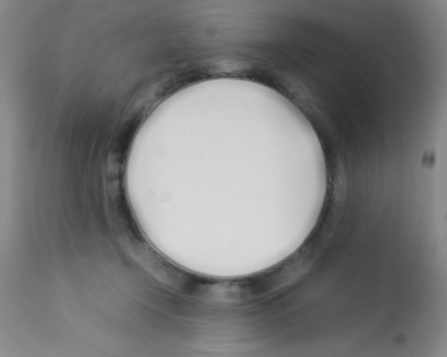 X0000113210366200910221108