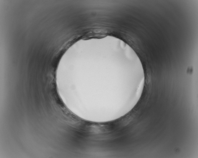 X0000113210367200910221108