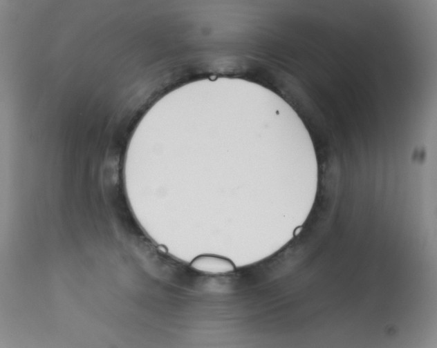 X0000113210368200910221108