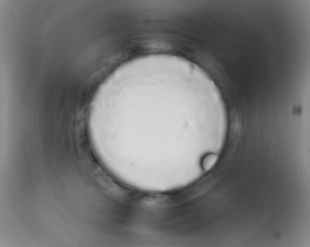 X0000113210369200910221108