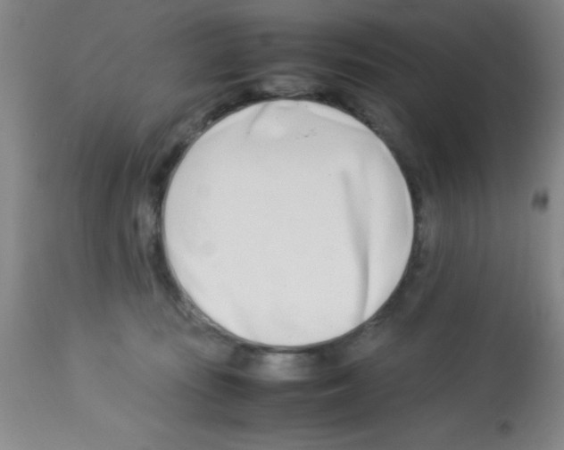 X0000113210371200910221108