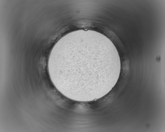 X0000113210372200910221108