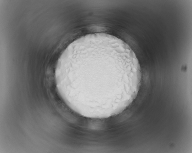 X0000113210373200910221108