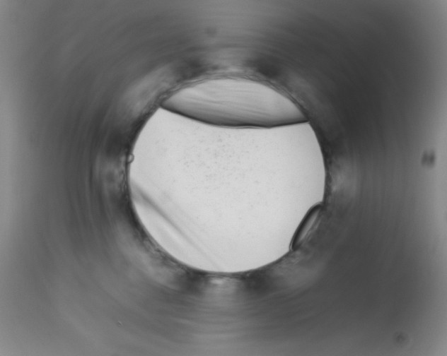 X0000113210376200910221108