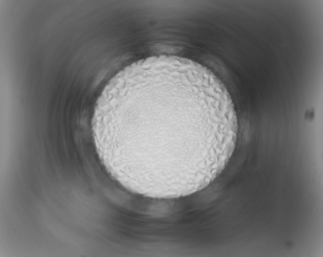 X0000113210377200910221108