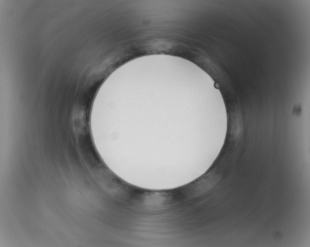 X0000113210378200910221108