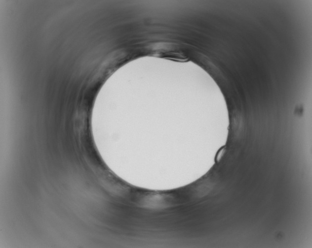 X0000113210379200910221108