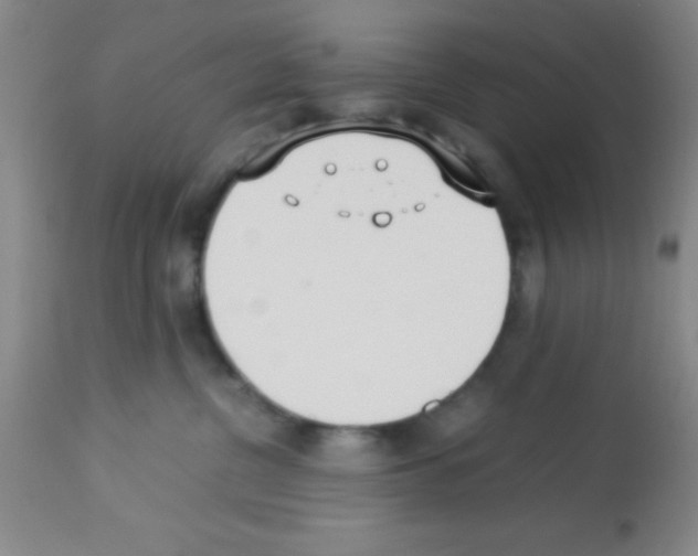 X0000113210380200910221108