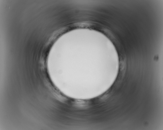 X0000113210381200910221108