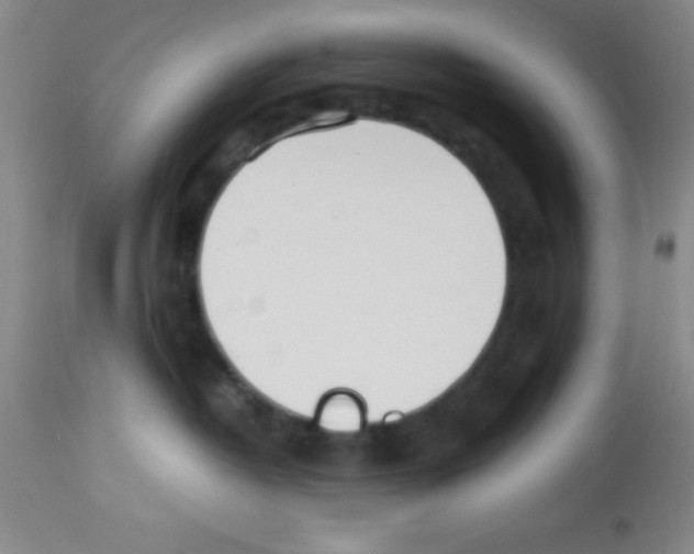 X0000113210382200910221108