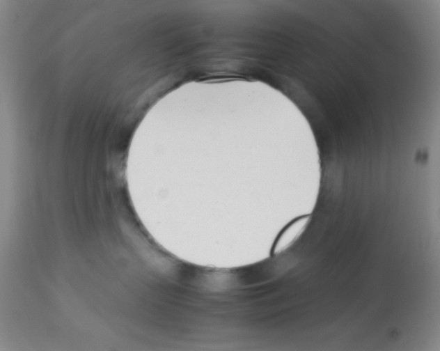 X0000113210383200910221108