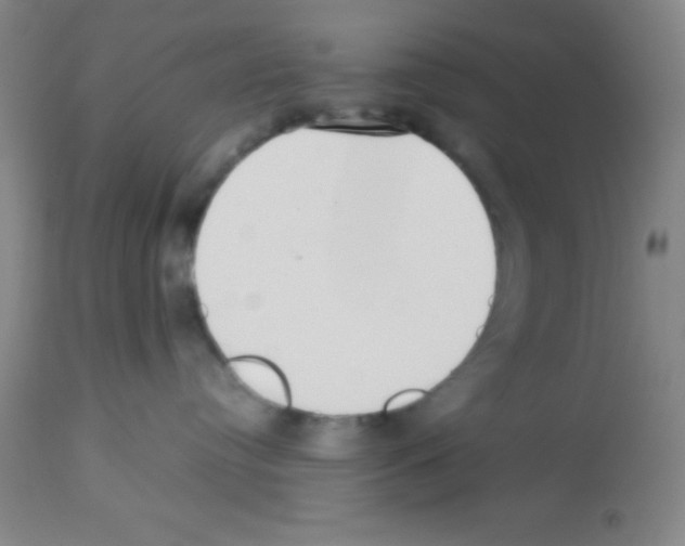 X0000113210384200910221108