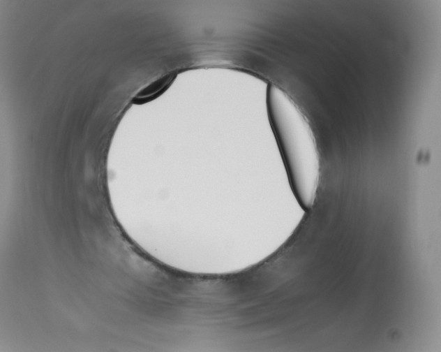 X0000113210385200910221107