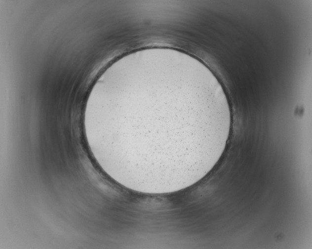 X0000113210386200910221107