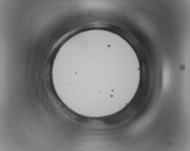 X0000113210387200910221107