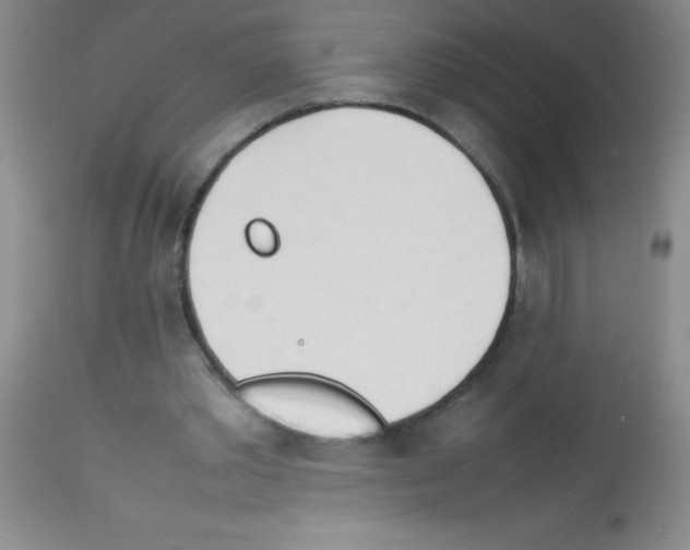 X0000113210389200910221107