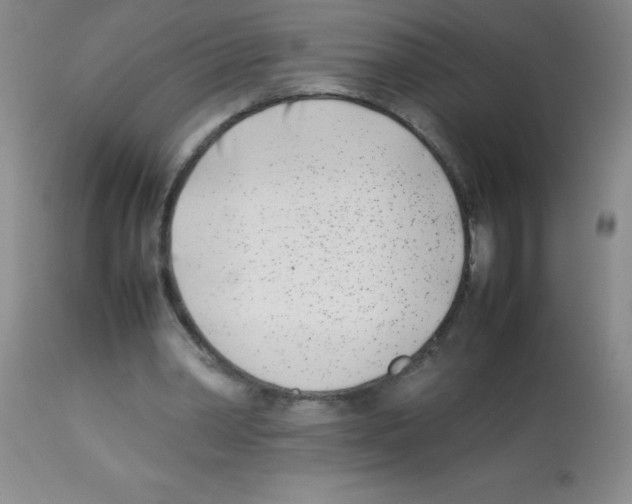 X0000113210390200910221107