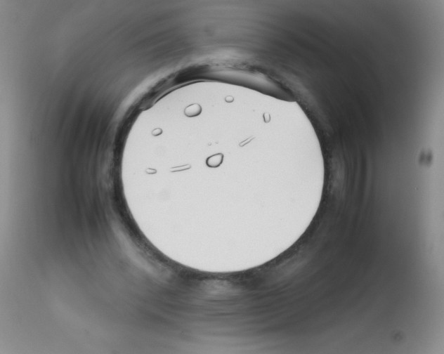 X0000113210392200910221107