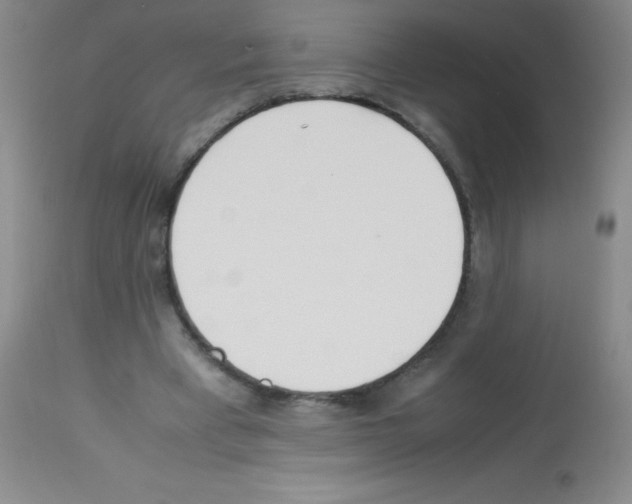 X0000113210393200910221107