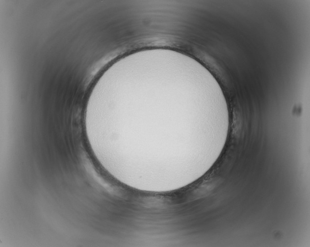 X0000113210394200910221107