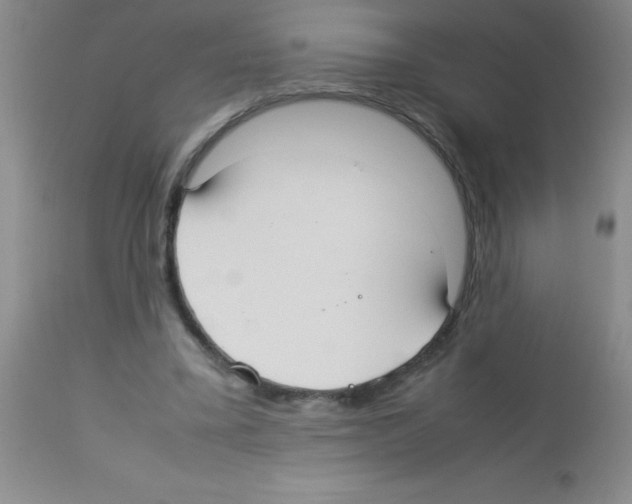 X0000113210395200910221107