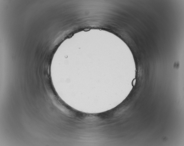 X0000113210397200910221107