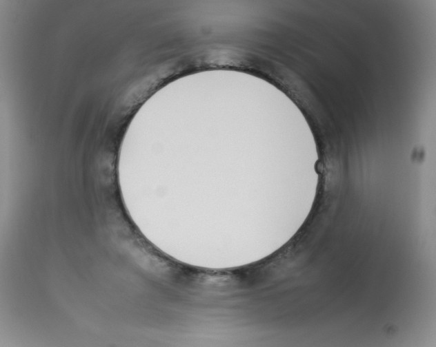 X0000113210401200910221107