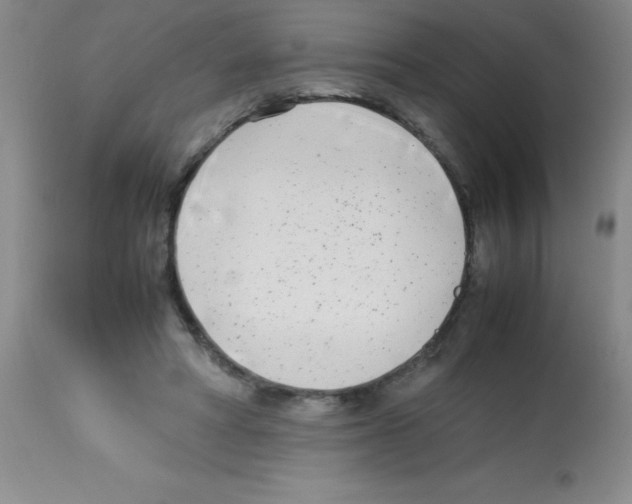 X0000113210402200910221107