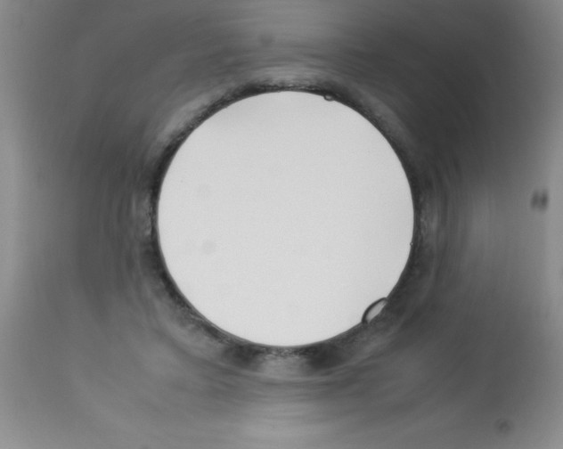 X0000113210403200910221107