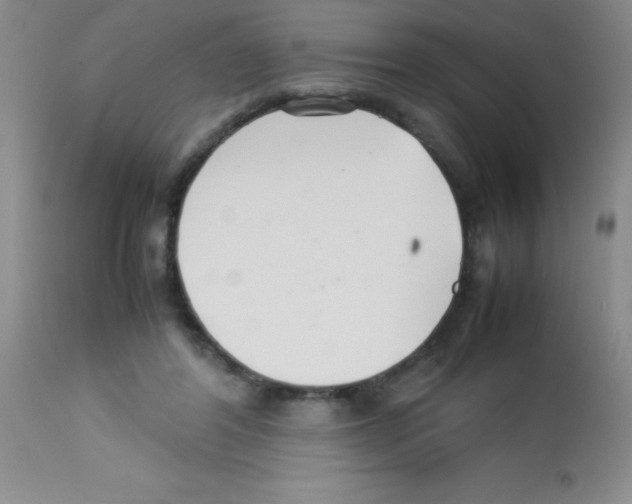 X0000113210404200910221107