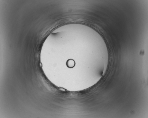 X0000113210405200910221107