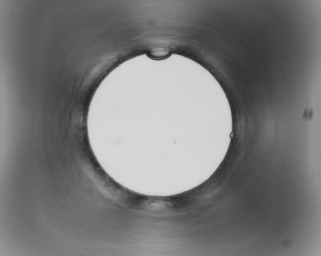 X0000113210407200910221107