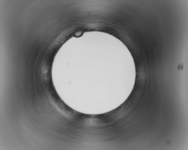 X0000113210408200910221107