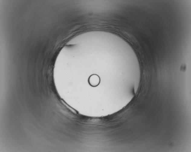 X0000113210409200910221107