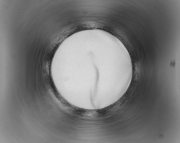 X0000113210410200910221107