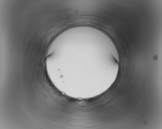 X0000113210411200910221107