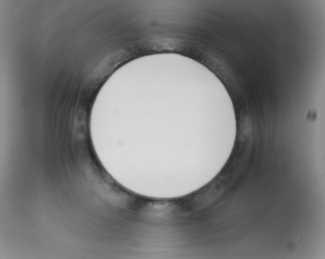 X0000113210414200910221107