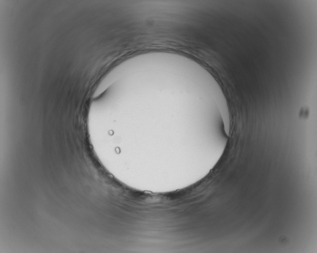 X0000113210415200910221107