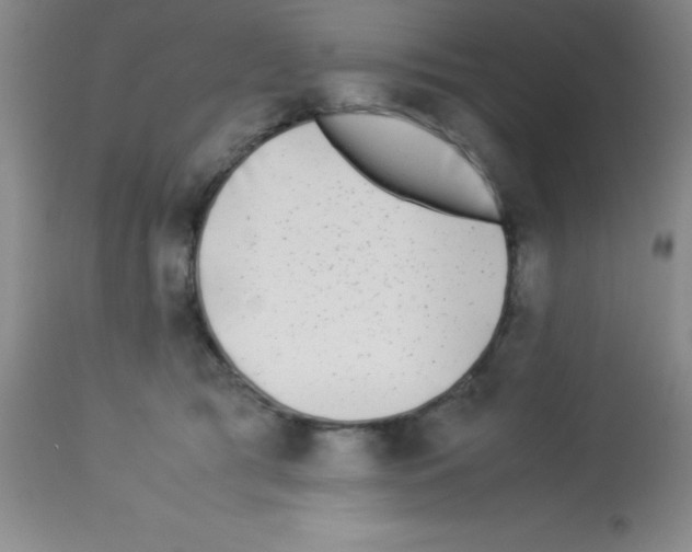 X0000113210417200910221107