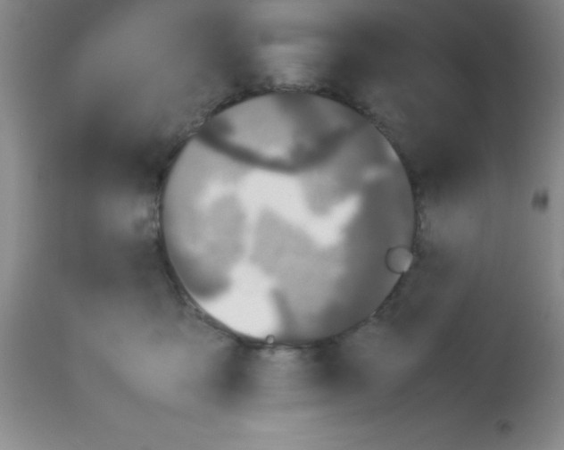 X0000113210419200910221107