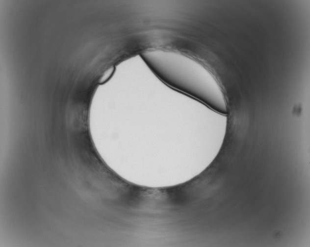 X0000113210421200910221107