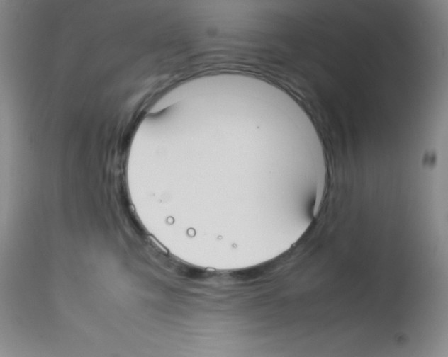 X0000113210423200910221107